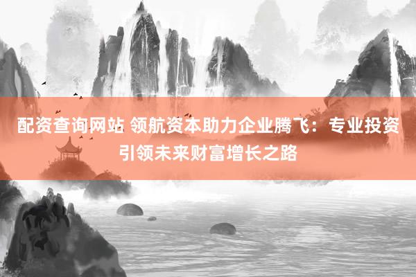 配资查询网站 领航资本助力企业腾飞：专业投资引领未来财富增长之路