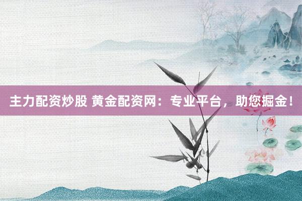 主力配资炒股 黄金配资网：专业平台，助您掘金！