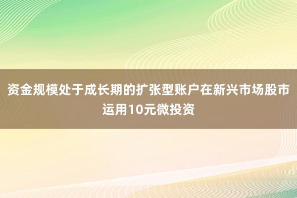 资金规模处于成长期的扩张型账户在新兴市场股市运用10元微投资