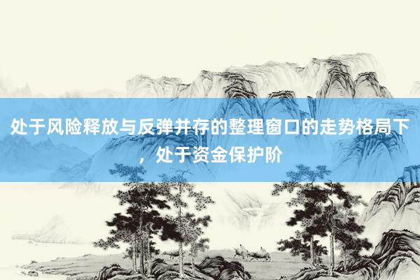 处于风险释放与反弹并存的整理窗口的走势格局下，处于资金保护阶
