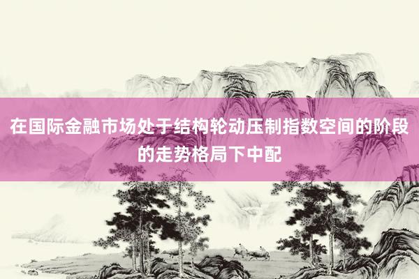 在国际金融市场处于结构轮动压制指数空间的阶段的走势格局下中配