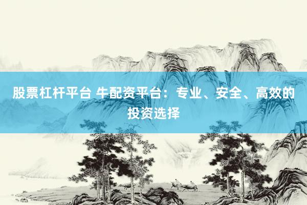 股票杠杆平台 牛配资平台：专业、安全、高效的投资选择