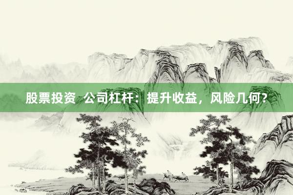 股票投资  公司杠杆：提升收益，风险几何？
