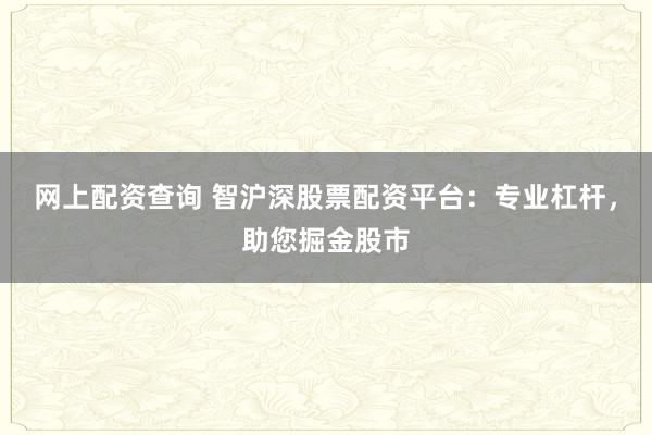 网上配资查询 智沪深股票配资平台:专业杠杆,助您掘金股市