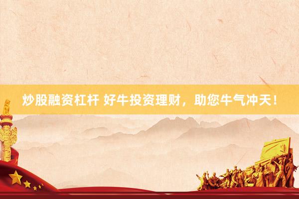 炒股融资杠杆 好牛投资理财，助您牛气冲天！